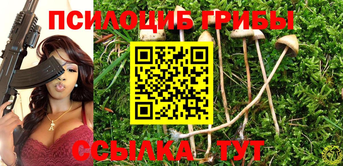 Псилоцибиновые грибы мицелий  сколько стоит  Нерюнгри  Вход с VPN 